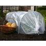 Giant easy polytunnel cloche