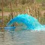 blue dye algae inhibitor for ornamental ponds