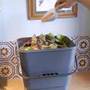 bokashi kitchen waste composter