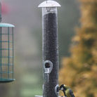 giant heavy duty bird seed feeder
