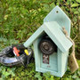 wildlife surveillance camera fsc timber