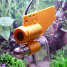 pond watch camera