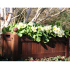 versailles window box