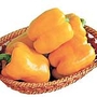 Capsicum Yellow Bell F1 Seeds
