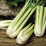 Celery Golden Spartan Seeds