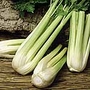 Celery Golden Spartan Seeds