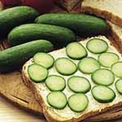 Cucumber Rocky F1 Seeds