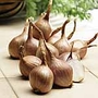 Shallot Bulbs Delvad - French 400g Pack