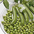 Pea Exzellenz Seeds Average Seeds 300