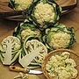 Cauliflower All The Year Round Seeds - Triplepack