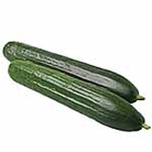 Cucumber Carmen F1 Seeds 5 Seeds