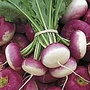 Turnip Atlantic Seeds