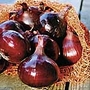Onion (Bulb) Red Pearl F1 Seeds