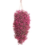 Verbena Trailing Tapien® Plants Pack of 20 Pot Ready Plants (4 of each variety) - SAVE £4.95