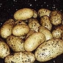 Potato Juliette - 3 kg 3 kg