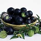 Tomatillo - Salsa Plant (Eden Project range) Units: Average Packet Contents 28 seeds - Eden Project Seeds: The World in Your Garden