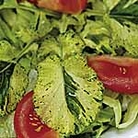 Fire & Ice Land Cress (Eden Project range) Units: Average Packet Contents 1000 seeds - Eden Project Seeds: The World in Your Garden