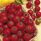 Tomato Cherry Belle F1 Seeds 8 seeds