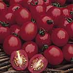 Tomato Apero F1 Seeds