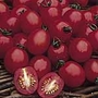 Tomato Apero F1 Seeds