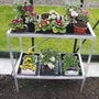 Aluminium Seed Tray Stand Aluminium 15 Seed Tray Stand - Gardening Equipment  Greenhouses and Greenhouse Accessories  Greenhouse Accessories
