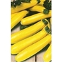Yellow Courgette Soleil x 10 seeds