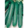 Cucumber F1 x 20 seeds