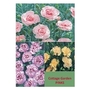Pinks Collection x 10 plants