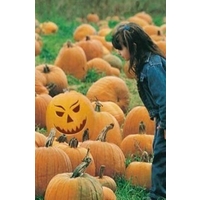 Pumpkin Jack O Lantern - great for kids