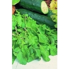 Rocket Salad x 100 seeds