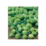 Brussel Sprout Franklin F1 x 40 seeds
