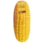 Sweetcorn Kneeler Pad