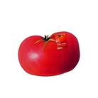Tomato Kneeler Pad