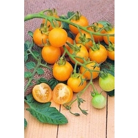 Tomato Sun Baby x 8 seeds
