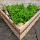 raised bed pyramid 8" with copper anti slug surround
