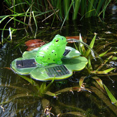 Solar Floating Frog Fountain