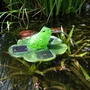 Solar Floating Frog Fountain