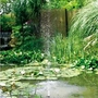 Sunjet 900 Solar Powered Pond Fountain Pump