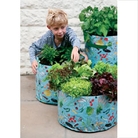 Childrens Vegetable Patio Planter Pack 3
