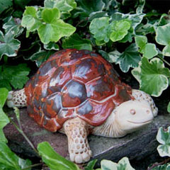 Ceramic Baby Tortoise
