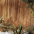 Reed Fencing (Roll 5 x 1.5m)