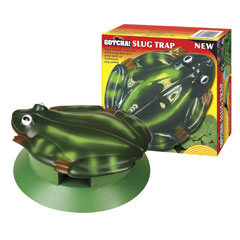 Slug Trap - Frog