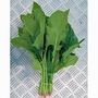 Spinach Mikado F1 Seeds