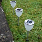 Antares Stainless Steel Solar Light 8 Pack