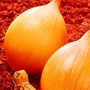 Vegetable Seeds - Onion (Show) Ailsa Craig