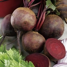 Bumper Veg Plant Collection Pack of 180 Plug Plants (as detailed) - SAVE £20.60!