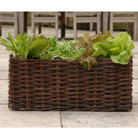 salad planting bag with natural willow surround