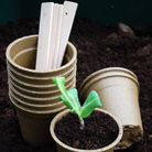 biodegradable pots