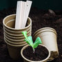biodegradable pots