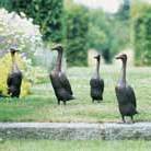 indian runner duck in cast bronze